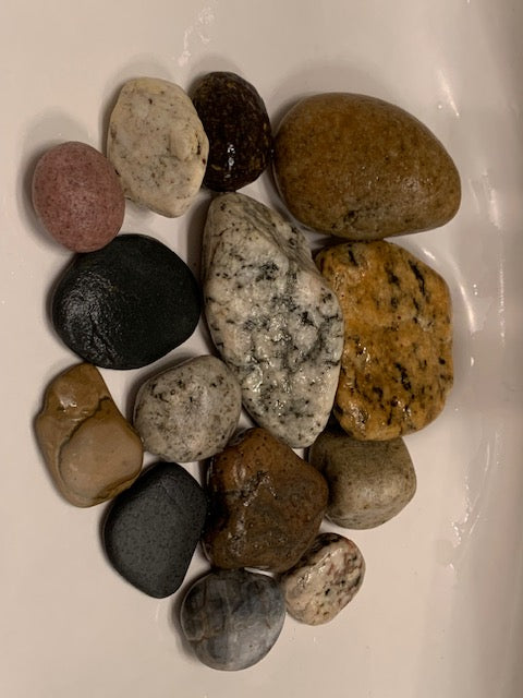 California Beach Rocks Collection, Picked from the Ocean at Famous Venice Beach!