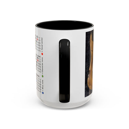 Mode Scales Coffee Mug - For Guitarist