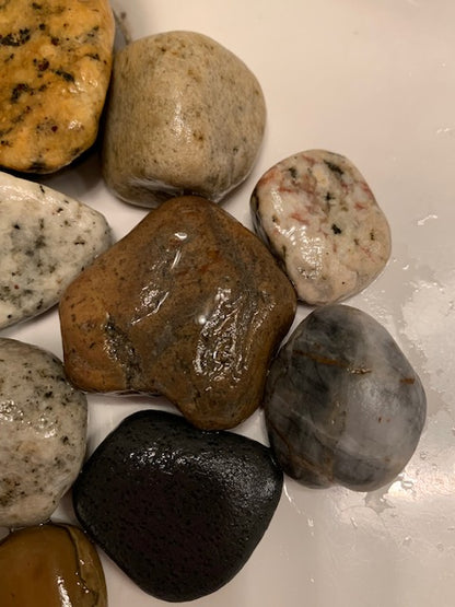 California Beach Rocks Collection, Picked from the Ocean at Famous Venice Beach!
