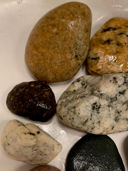 California Beach Rocks Collection, Picked from the Ocean at Famous Venice Beach!