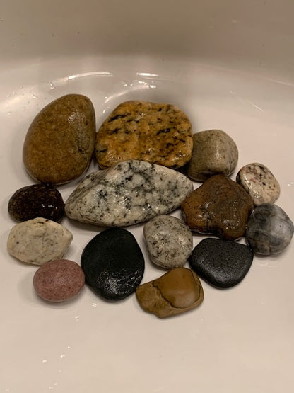 California Beach Rocks Collection, Picked from the Ocean at Famous Venice Beach!