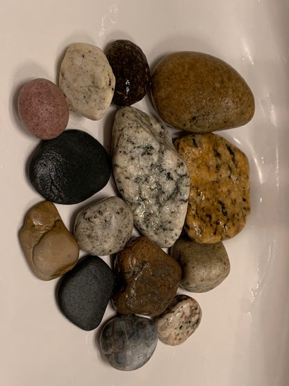 California Beach Rocks Collection, Picked from the Ocean at Famous Venice Beach!
