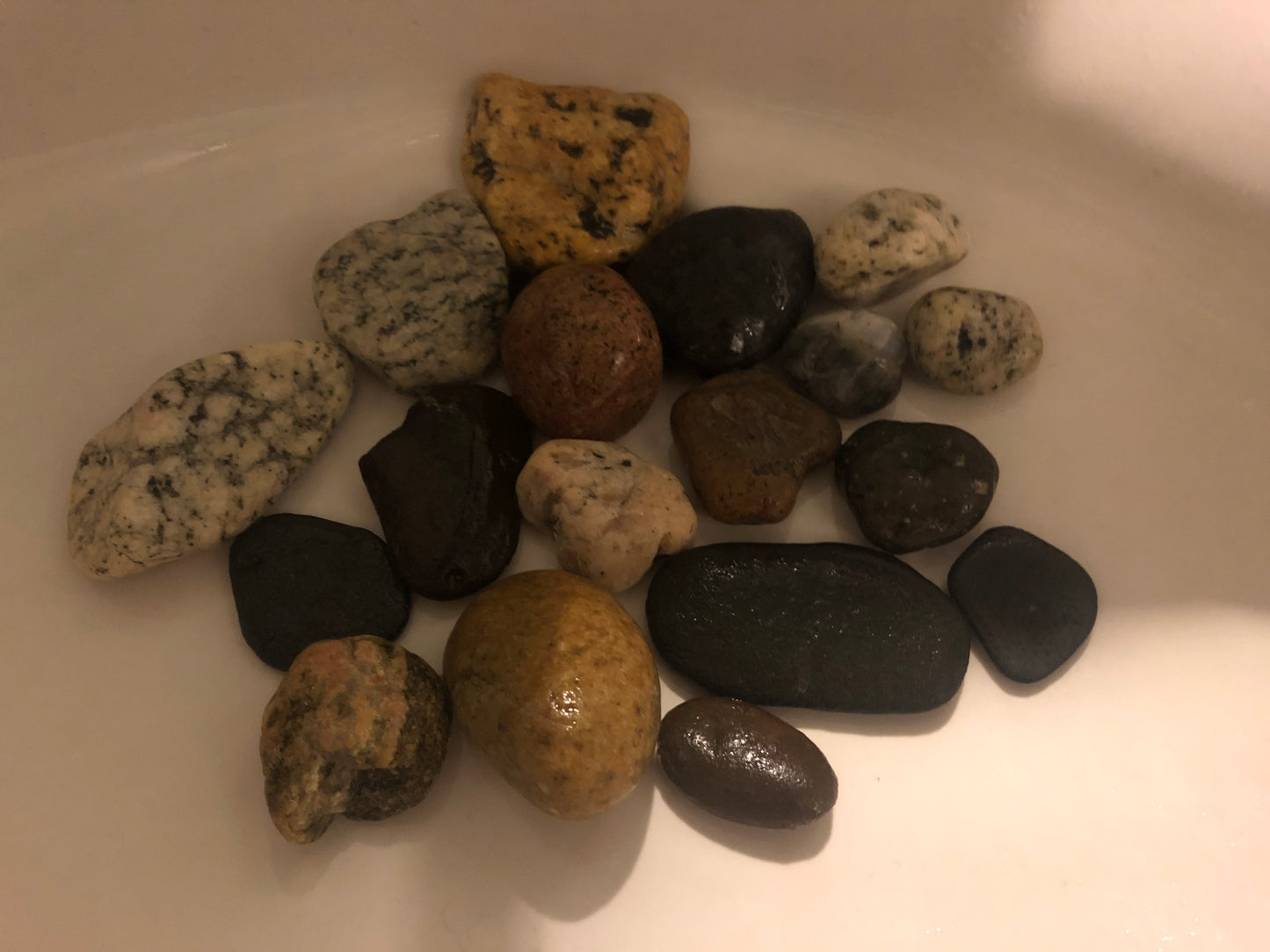 California Beach Rocks Collection, Picked from the Ocean at Famous Venice Beach!