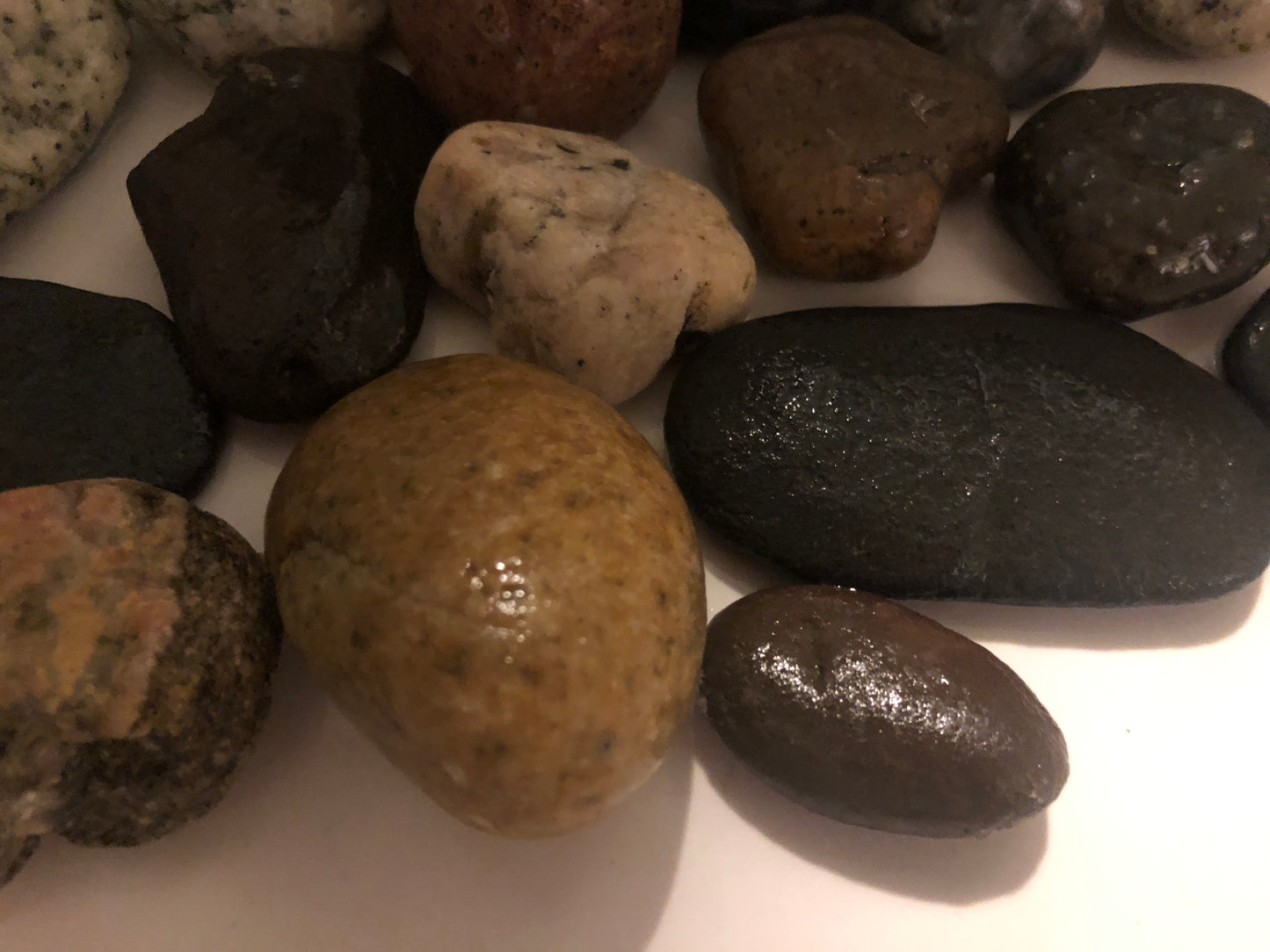 California Beach Rocks Collection, Picked from the Ocean at Famous Venice Beach!