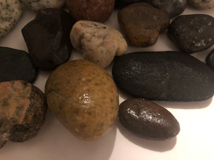 California Beach Rocks Collection, Picked from the Ocean at Famous Venice Beach!
