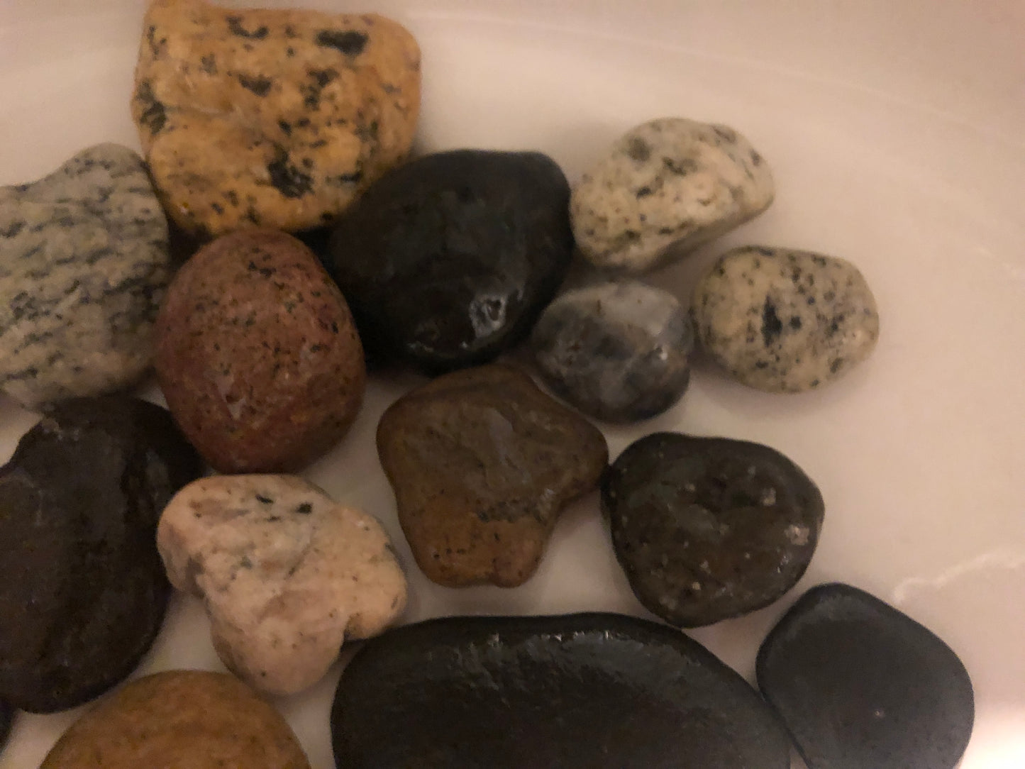 California Beach Rocks Collection, Picked from the Ocean at Famous Venice Beach!