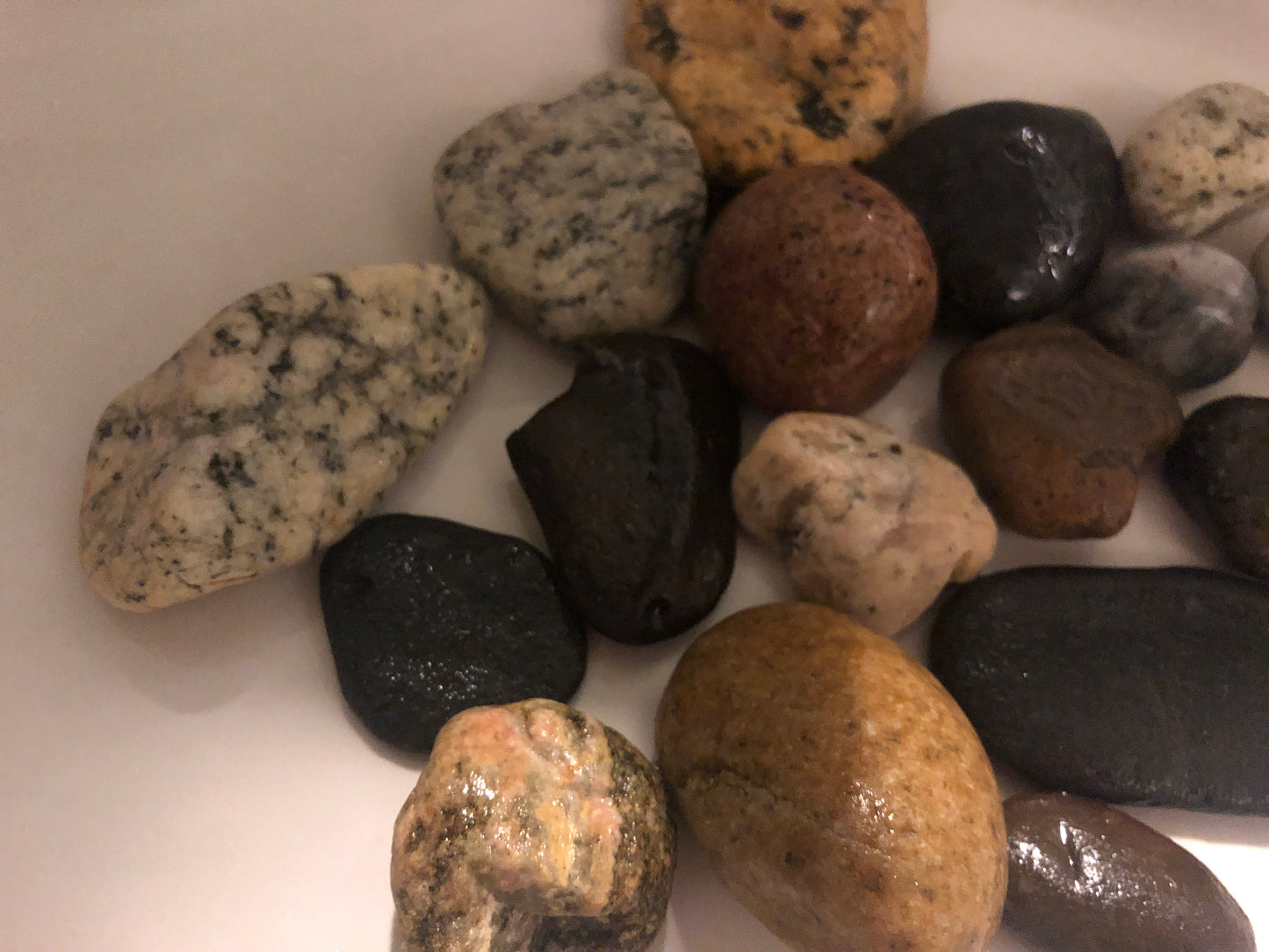 California Beach Rocks Collection, Picked from the Ocean at Famous Venice Beach!
