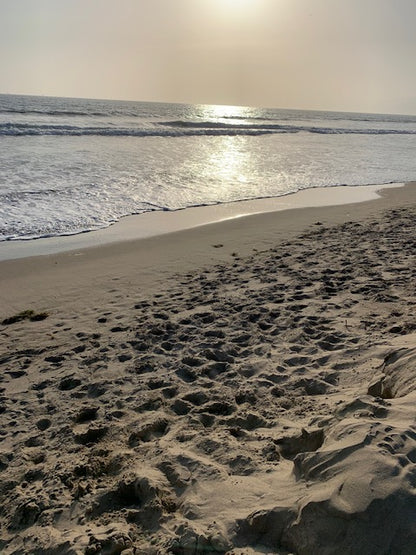 California Beach Rocks Collection, Picked from the Ocean at Famous Venice Beach!