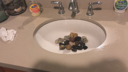 California Beach Rocks Collection, Picked from the Ocean at Famous Venice Beach!